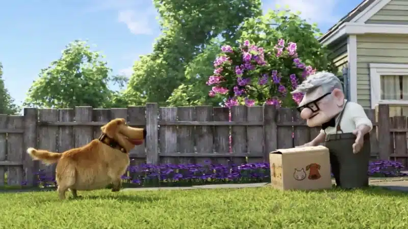 series animadas - disney+ 4