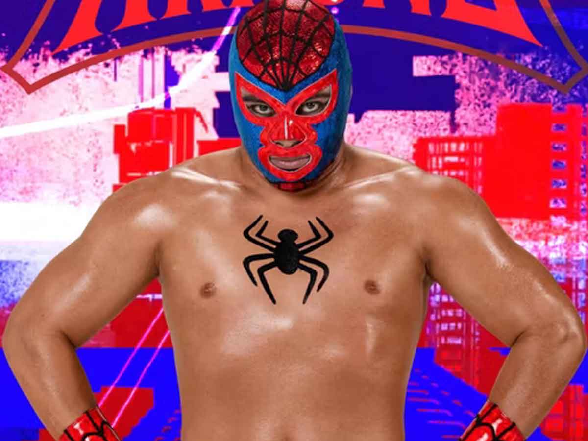 marvel anuncia un show de lucha libre para disney plus