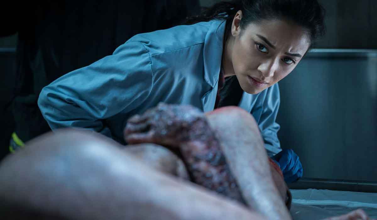 hablemos del cine de terror