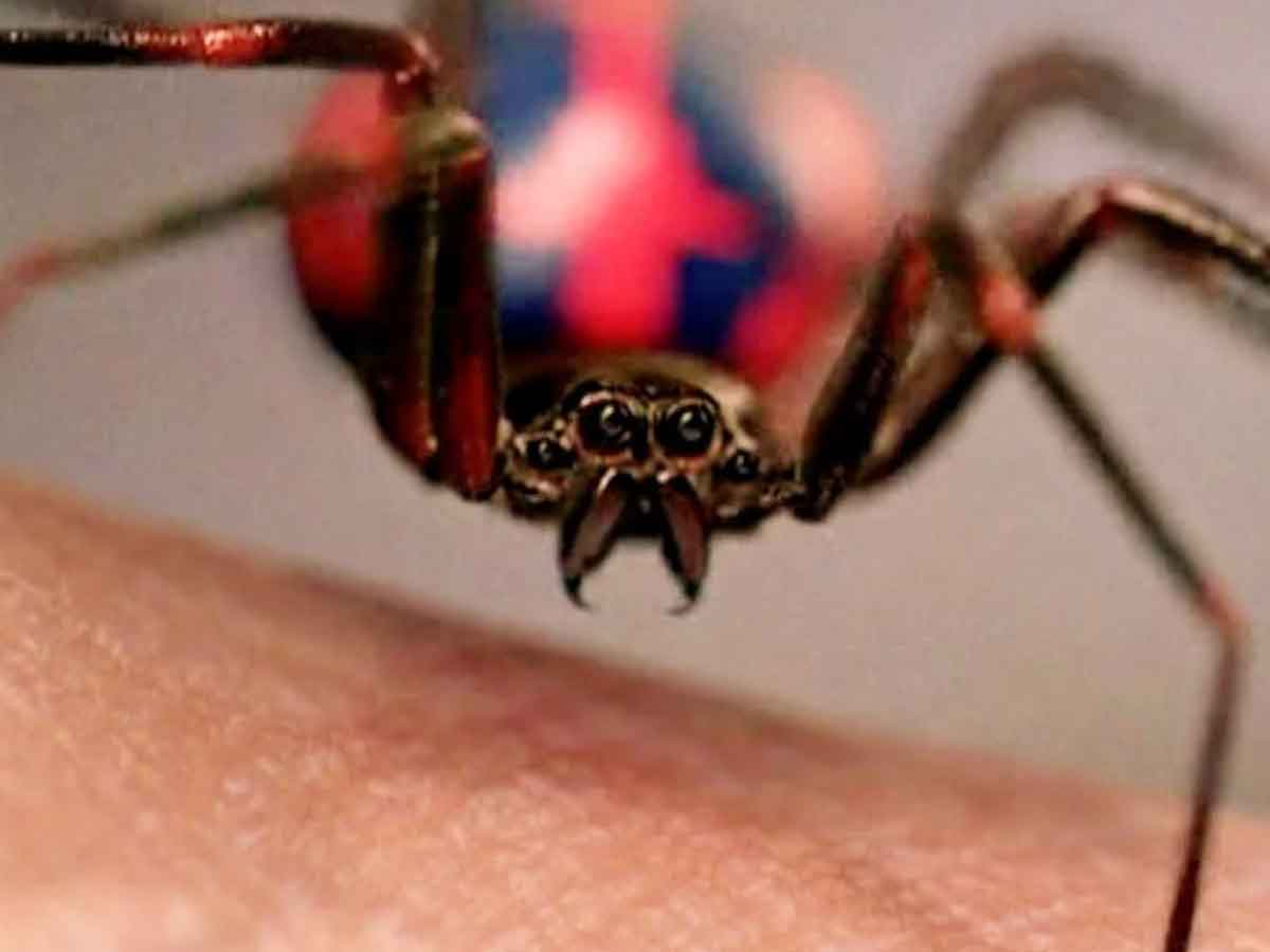 el sentido arácnido de spider-man