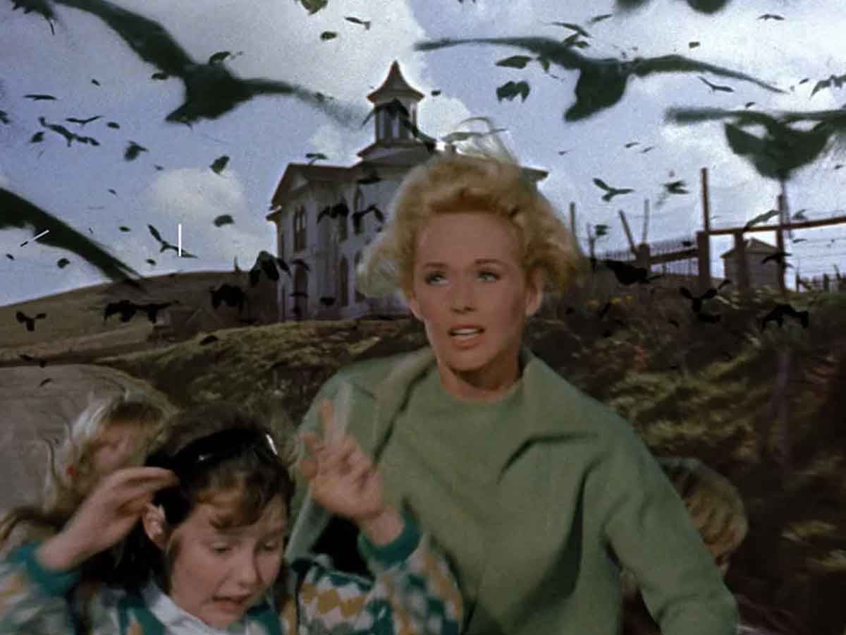 los pájaros (1963) de alfred hitchcock