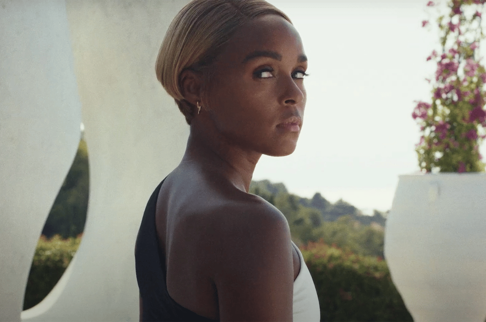 janelle monáe - glass onion