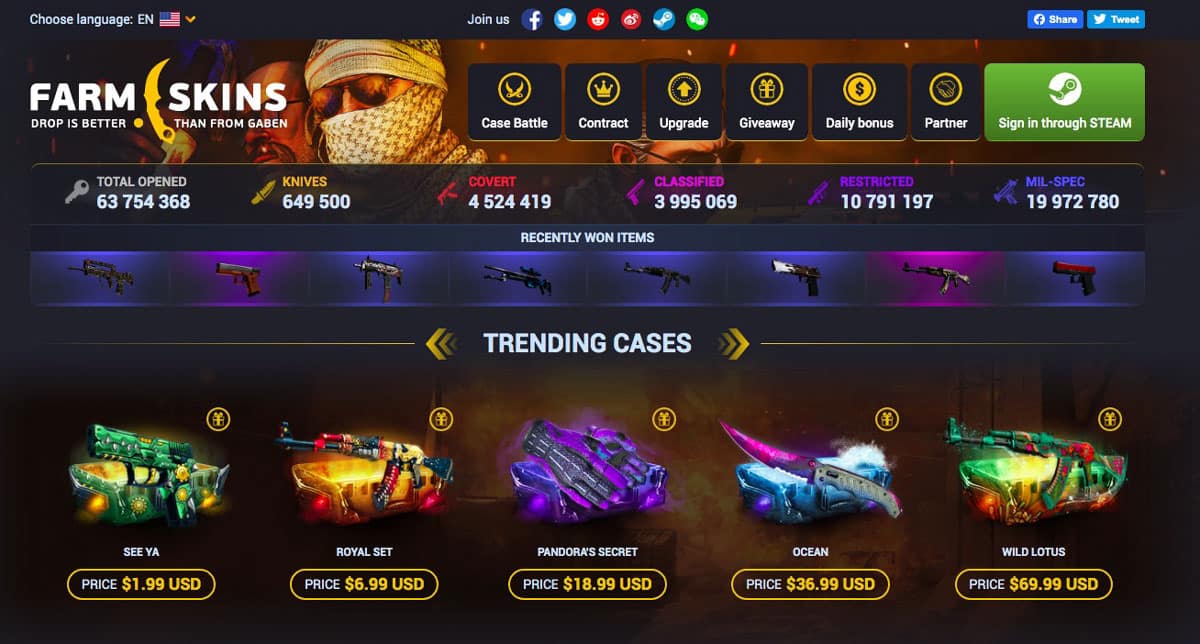 vista de la web farmskins