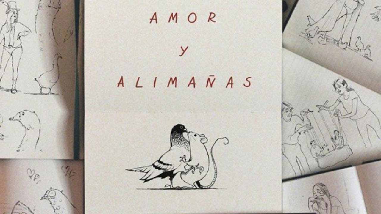 amor y alimañas. humor cotidiano de palomas y ratas