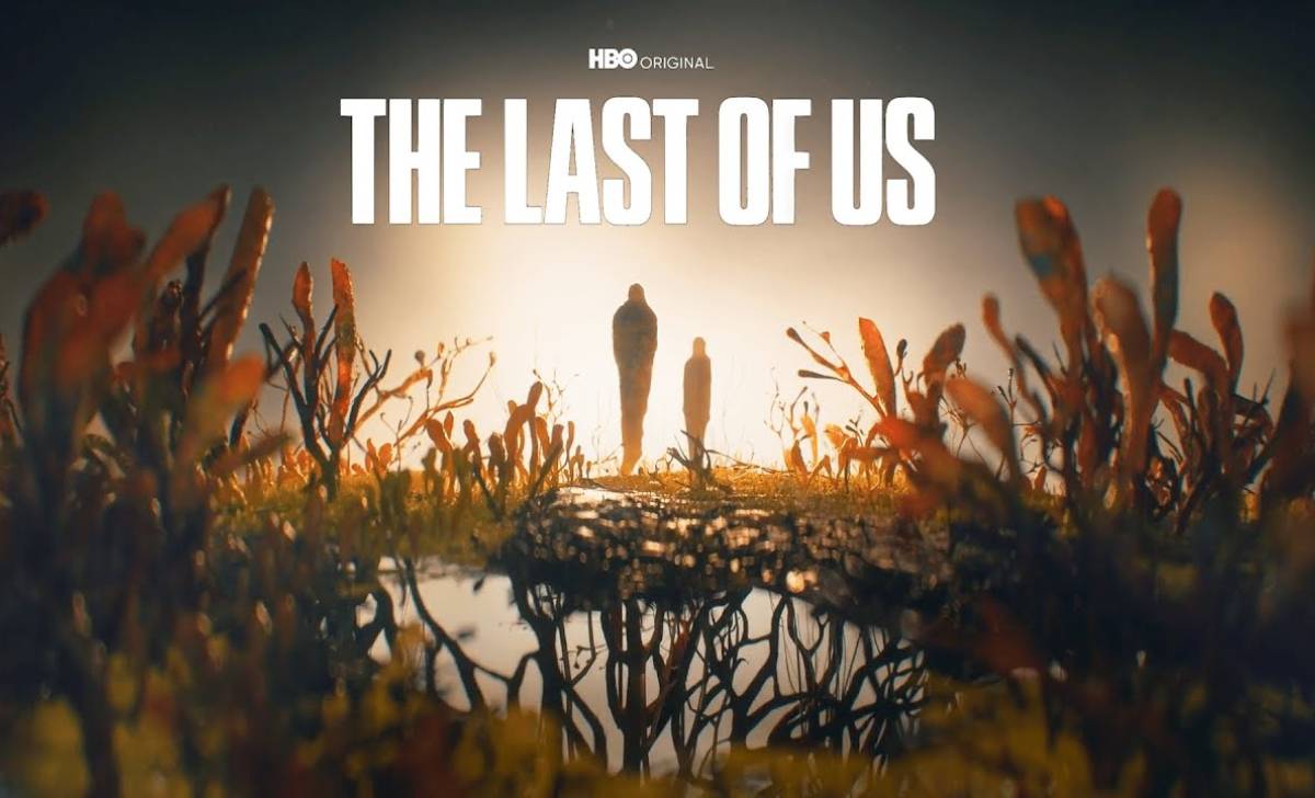 the last of us
