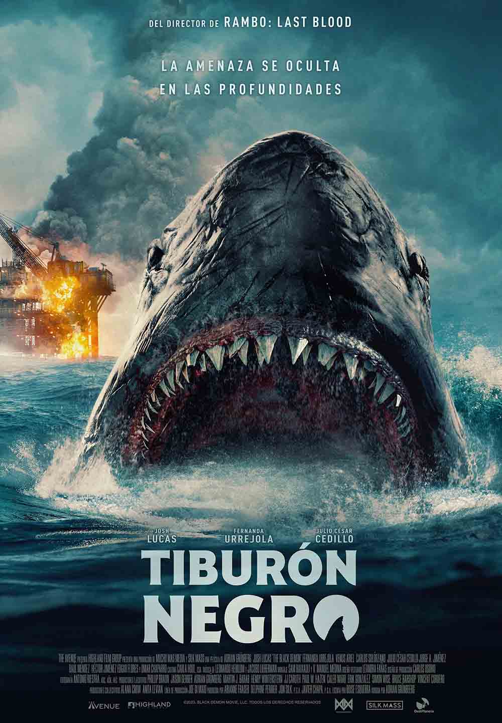 poster de tiburón negro