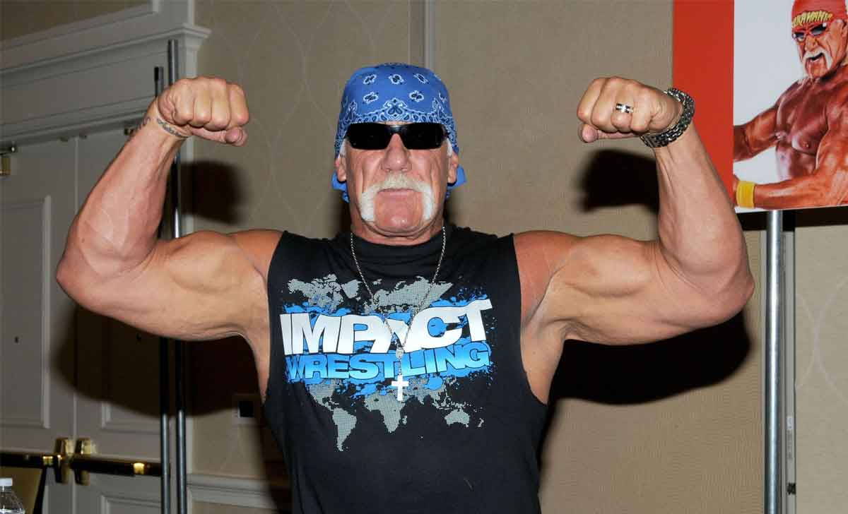 hulk hogan