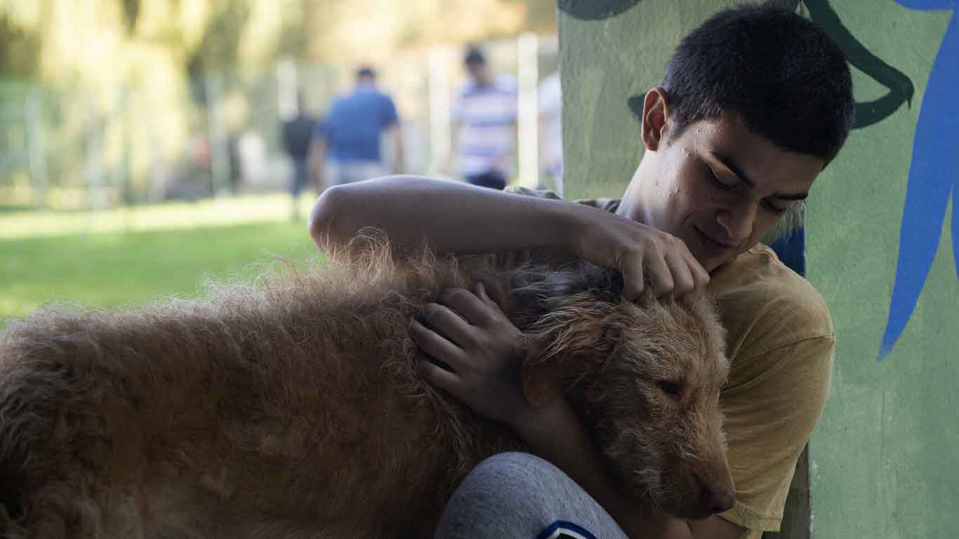 diecisiete fotograma