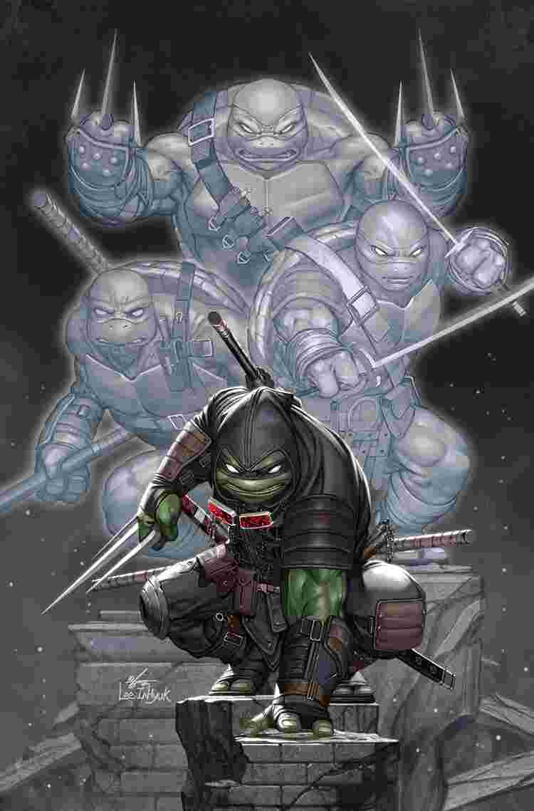 teenage mutant ninja turtles: the last ronin