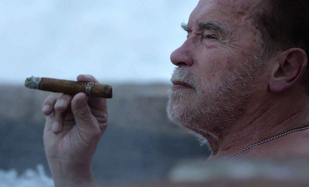 arnold schwarzenegger