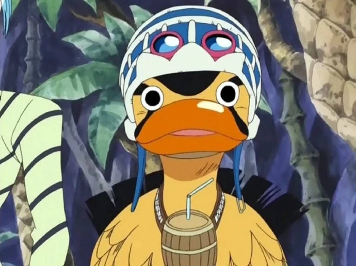 karoo en one piece (netflix)