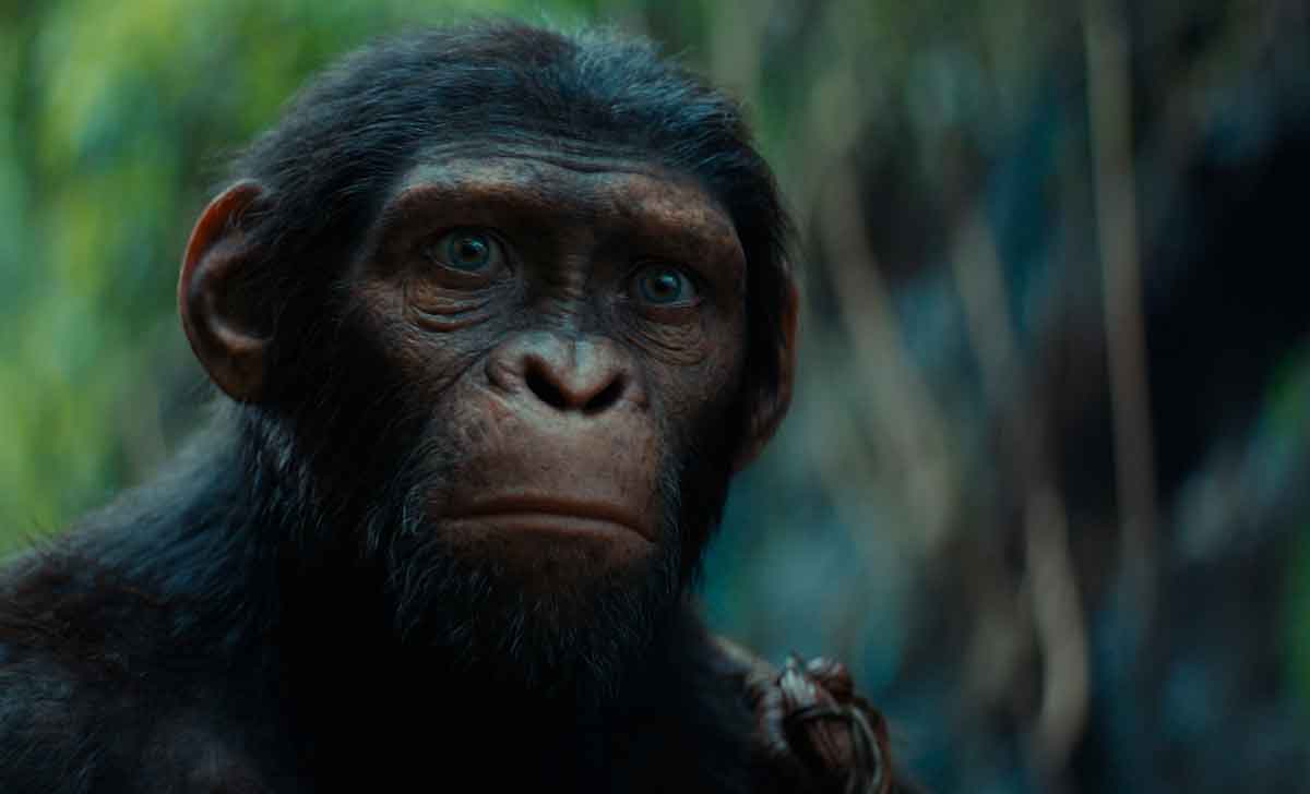 brutal primer tráiler de el reino del planeta de los simios