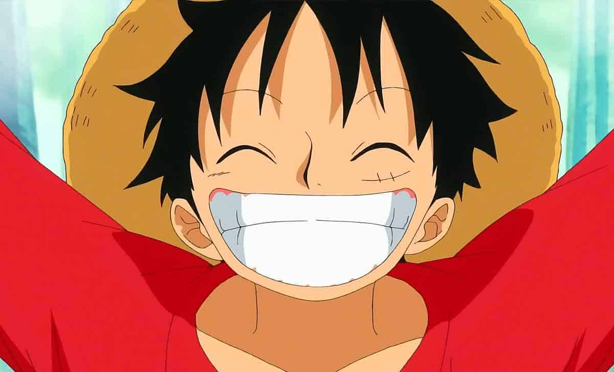 luffy de one piece