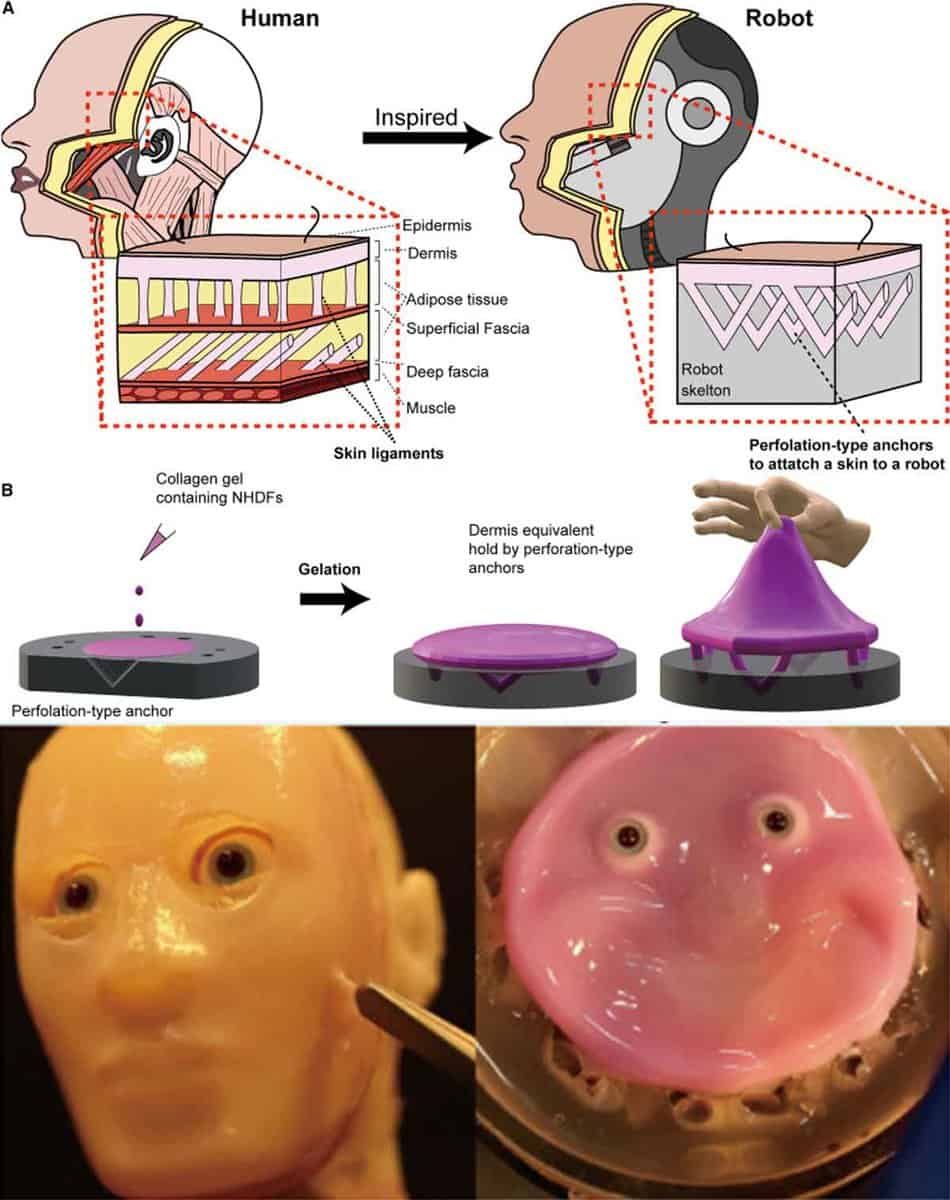 ciencia ficción tecnología terminator