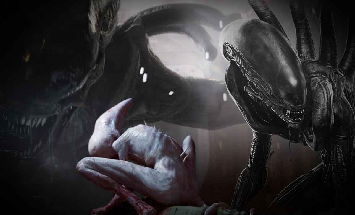 saga alien ¡este es el xenomorfo más poderoso!