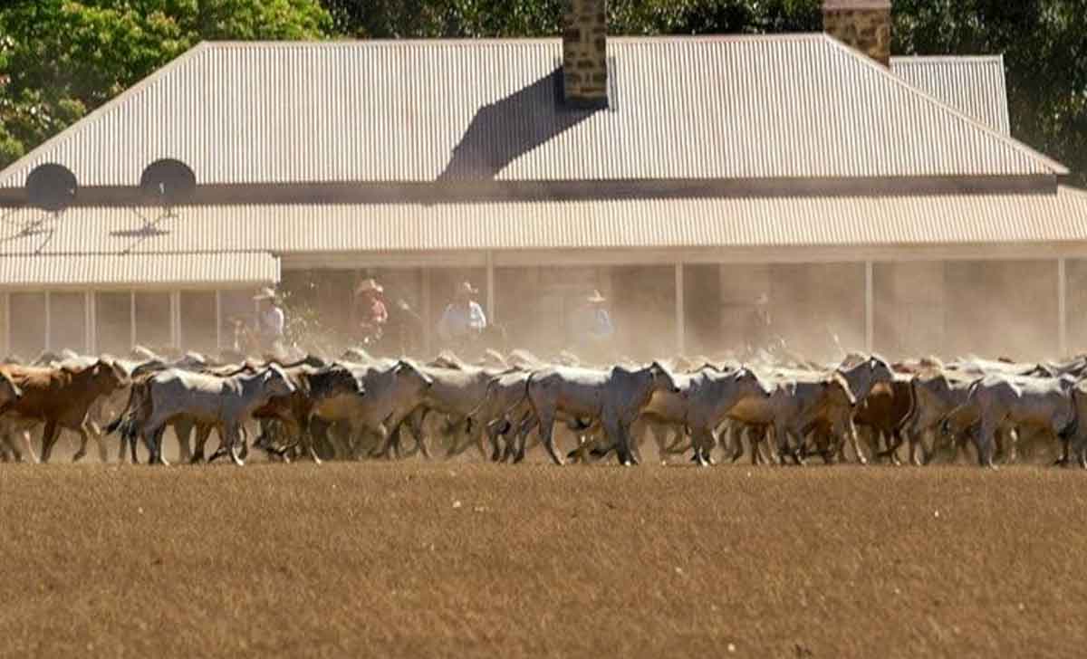 territorial en netflix