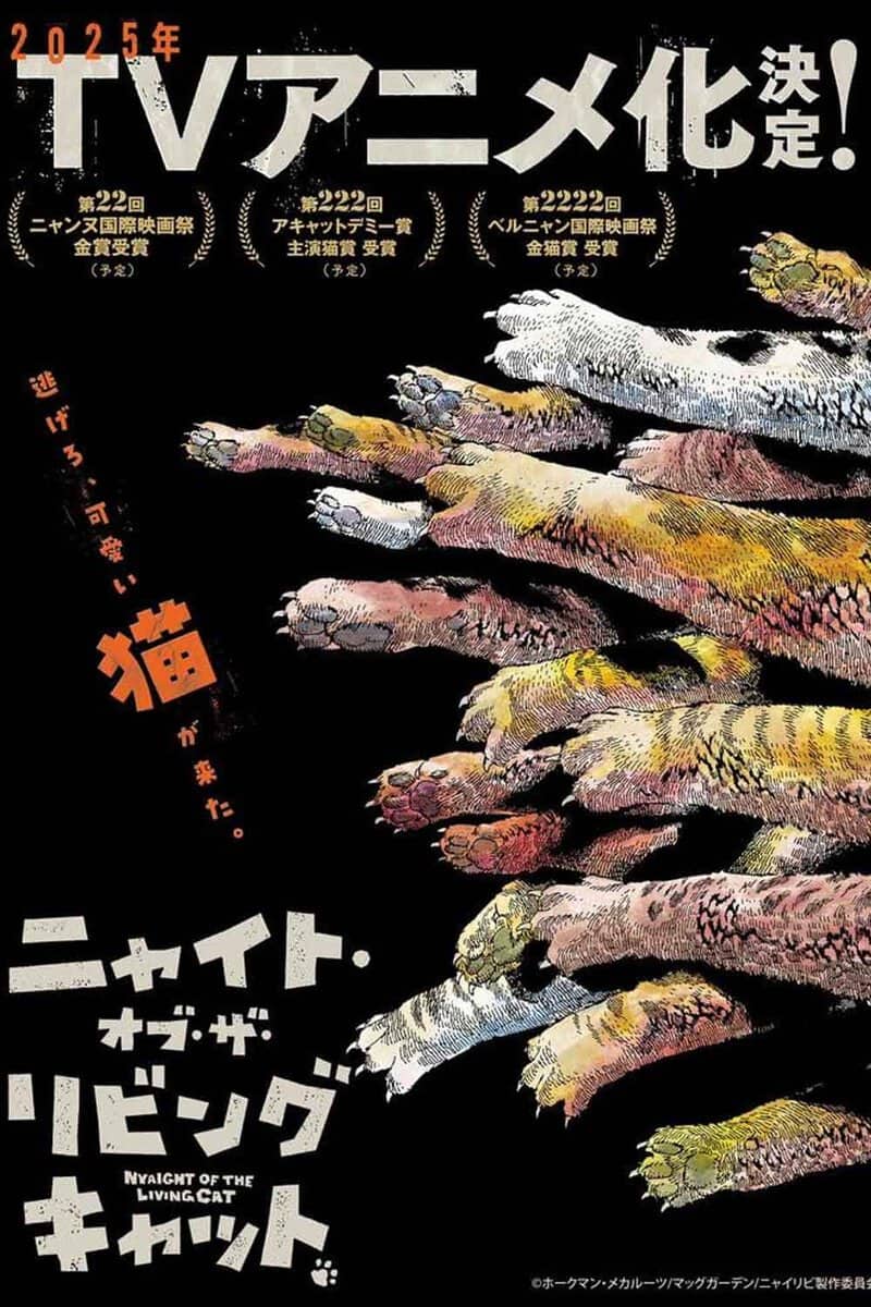 nyaight of the living cat nuevo anime