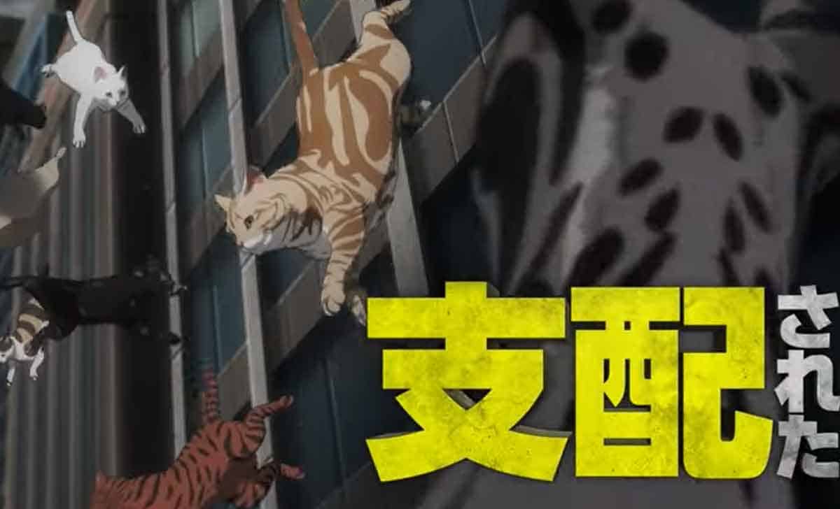 nyaight of the living cat nuevo anime