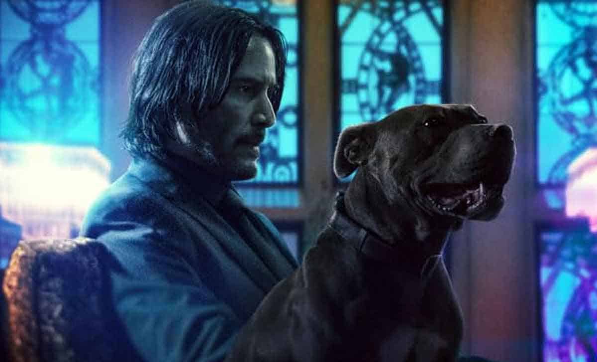 misterio de john wick 3