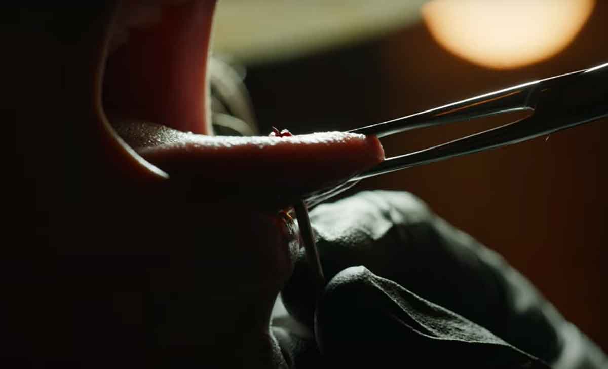 final destination bloodlines (2025)